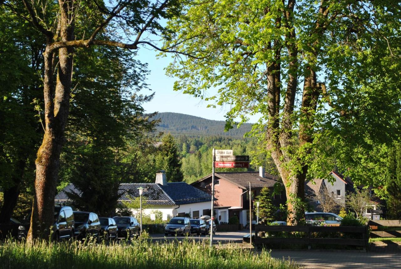Harz-Rose Apartamento Braunlage Exterior foto