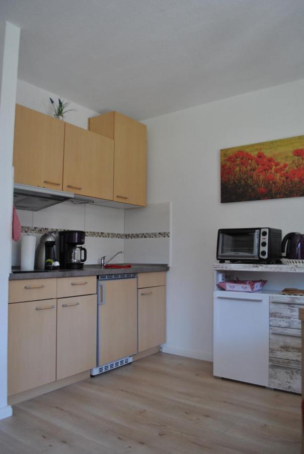 Harz-Rose Apartamento Braunlage Exterior foto