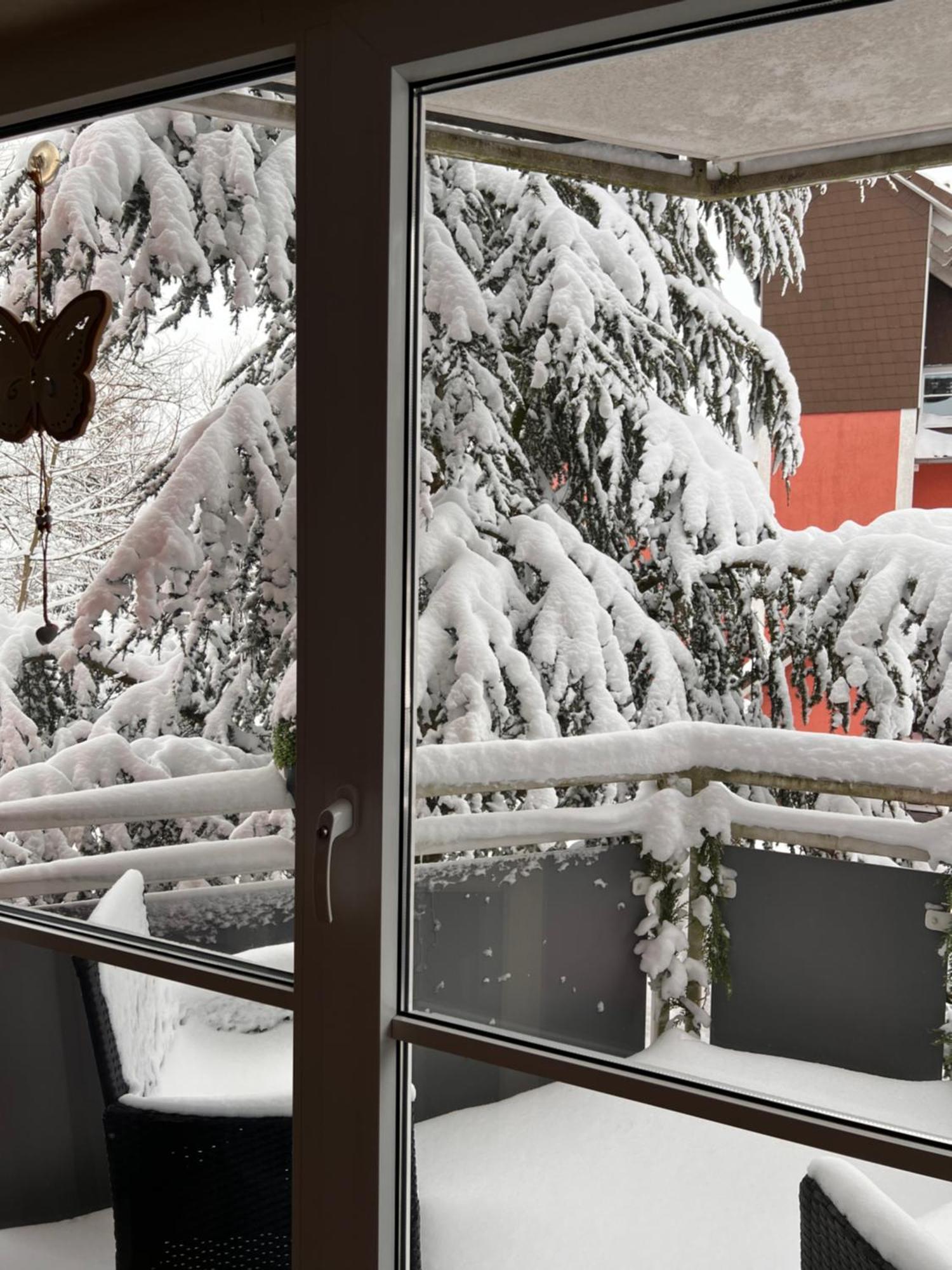 Harz-Rose Apartamento Braunlage Exterior foto